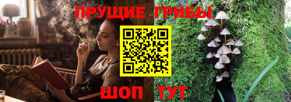 Галлюциногенные грибы ЛСД  Галлюциногенные грибы Magic Shrooms  Вход с VPN  Зима 