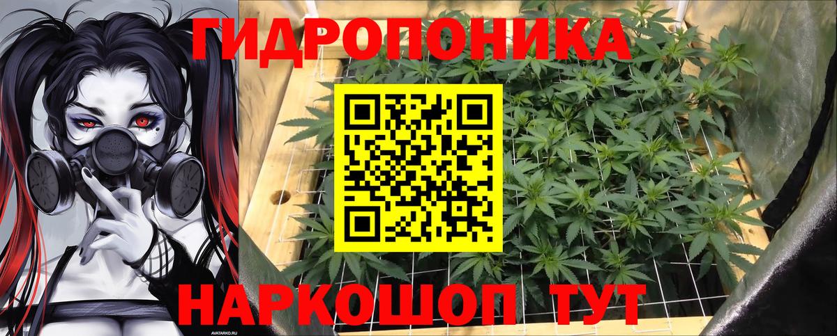 МАРИХУАНА AK-47  Вход с VPN  Конопля сатива  Зима 
